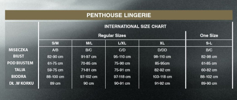 Bodystocking (catsuit) Fire Cracker, Penthouse Bodystocking (catsuit) Fire Cracker, Penthouse