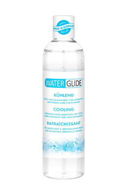 Lubrykant (żel poślizgowy) wodny, Waterglide Cooling, chłodzący, mocno nawilżający, 300 ml