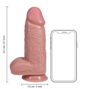 Dildo gigant na przyssawce, Realrock 9", proste, z jądrami, PVC Dildo gigant na przyssawce, Realrock 9", proste, z jądrami, PVC