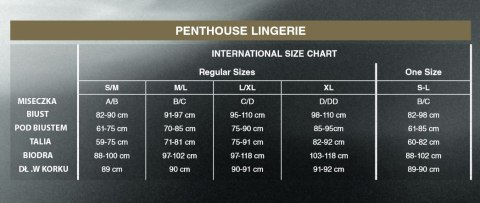 Bodystocking Penthouse Miss Curvy Bodystocking Penthouse Miss Curvy