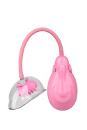 Pompka do waginy, z wibracjami, baterie, Dream Toys Pleasure Pumps Pompka do waginy, z wibracjami, baterie, Dream Toys Pleasure Pumps